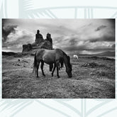 Coeffin Castle Horses - Photographic Print - Amy Davidson